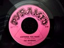 THE BEARINGS Anything You Want/I Cant Take It 1966 GARAGE ROCK 45 RPM on PYRAMID