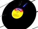 The Official Album of Disneyland, Walt Disney World LP Vinyl record 1980's