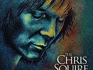 Various Artists - A Life In Yes: the Chris Squire Tribute - Double LP Vinyl