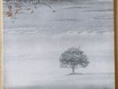 Genesis: Wind & Wuthering, LP, Italy, 1st pressing, 1976, VG+/M-