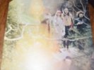 Trout Mask Replica by Captain Beefheart & His Magic Band (Record, 2019)