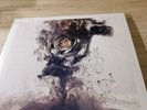 Editors The weight of your love Double Vinyl Lp