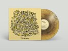 Mac DeMarco - This Old Dog Exclusive Gold & Black Translucent Galaxy Vinyl LP