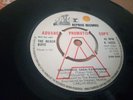 THE BEACH BOYS DEMO: