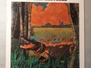 Neville Brothers  Fiyo on the Bayou  LP Vinyl  1981  A&M Records