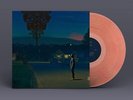Nate Smith - Kinfolk 2: See The Birds (NEW VINYL LP)