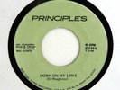 PRINCIPLES 45 Down On My Love - Good Friends GREEN DOME Rec MIAMI PUNK '80 HEAR