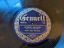 Hitch's Happy Harmonists Gennett 5633 Cataract Rag Blues Jazz 78 V++