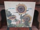 harbinger SECOND COMING LP / Dave Bixby Psych Folk / The Original 1969-70 AE-100