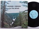 CEDAR CREEK In The Wind CLAY MUSIC LP VG+