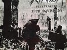 WINTER Netherlands into Darkness LP (colour vinyl) Hellhammer Thergothon Urfaust