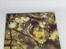 Claudio Rocchi Essenza AR/12112 1973 con inserto VG+
