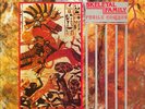 SKELETAL FAMILY Futile Combat LP - looks unplayed