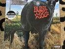 BLINK 182 - Dude Ranch SPLATTER COLOR VINYL Hot Topic Exclusive RARE Variant