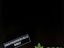 DR. DRE - 2001 [Instrumentals Only] (Double Vinyl LP, 2019) **NEW**