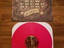 New Found Glory  Not Without A Fight Vinyl Record Album Lp Excellent