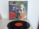 Vinyle Lp Dick Annegarn 1974 ( 2393 081 )
