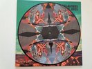 Noel Gallagher's High Flying Birds Who Built The Moon? Picture Disc VINYL.