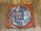 Stevie Wonder Picture Disc 12