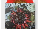 x/750 Burn Away Burst Red Gold Vinyl LP Protest The Hero Kezia New Mint
