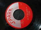 THE ROBINS RIOT IN CELL BLOCK #9 45 RECORD WRAP IT UP VG++