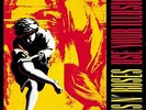 **BRAND NEW** Guns N' Roses - Use Your Illusion I (Vinyl Album)