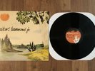Albert Hammond Jr - Yours to Keep vinyl LP record OOP & RARE  the strokes rsd