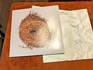 A Ghost Is Born 2004 Wilco usa canada '05 press rhino nonesuch 2 lp vinyl rare