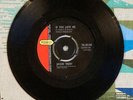Jackie Trent 45 If You Love Me / Only One Such as You 1964 VG++