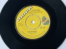 Northern Soul UK Grapevine 136 Al Williams. “ I Am Nothing “