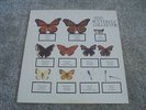 The Jam - The Butterfly Collector USA DOUBLE LP TBS 1st MOD PAUL WELLER