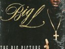 Big L - The Big Picture (1974 - 1999) '00 2xLP US ORG  DJ Premier Lord Finesse
