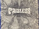 THE PAISLEYS   COSMIC MIND AT PLAY    PSYCH ROCK 1970 VINYL LP  VG