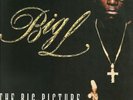 Big L - The Big Picture (1974 - 1999) '00 2xLP US ORG  DJ Premier Lord Finesse