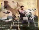 personalised (sam) signed rex orange county vinyl