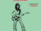 VAN HALEN DIVER DOWN mexico press UNIQUE ART MEXICAN NICE COVER PROMO