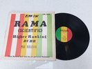 The 4th Street Orchestra Scientific Higher Ranking Dubb RARE UK LP