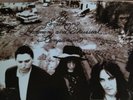 THE BLACK CROWES 2 LP MINT