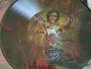 Cannibal Corpse Red Before Black Picture Disc
