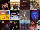 Lof of 20 LPs 50's & 60's Dave Clark Five Hollies Moody Blues Chuck Berry Byrds