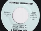 7 SOUNDS LTD I'm Waiting For Sweet Harmony RARE M- sweet soul 45 northern HEAR