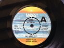 FRANKIE VALLI & FOUR SEASONS - 