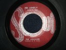 THE JAMAICANS  -  MR. LONELY  (REGGAE)  45