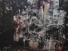 La Dispute: Wildlife (M- 2014 No Sleep, US