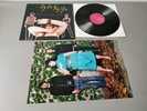GOSSIP ( BETH DITTO ) original Vinyl LP Standing In The Way Of Control (2006)