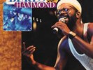 Beres Hammond - Sweetness - Vinyl Record.. - P1478A