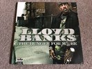 Lloyd Banks - The Hunger For More Vinyl ( 2 LP, Excellent Condition )