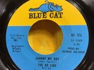 THE AD LIBS   Johnny My boy   Blue Cat northern soul 45 VG+