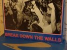 Youth Of Today Break Down The Walls LP Record Album 1986 w/Insert Wishingwell