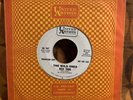 THE WILD ONES   Wild Thing / Just Can't Cry Anymore   garage rock 60s promo 45